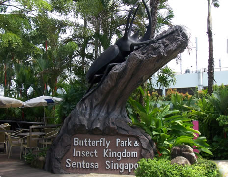 butterfly park